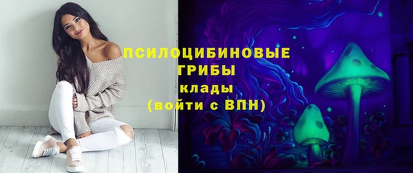 мет Верхний Тагил