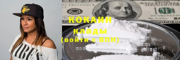 дживик Верея