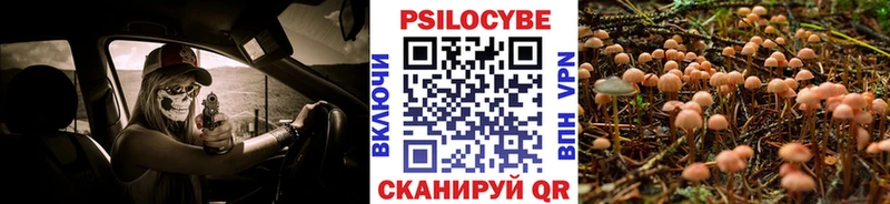 Псилоцибиновые грибы прущие грибы  kraken онион  Калязин 